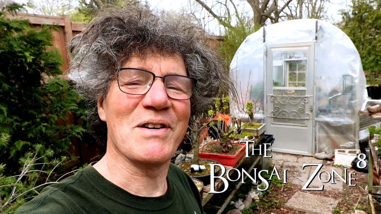 The First Steps of a Long Journey, Part 1, The Bonsai Zone, April 2021