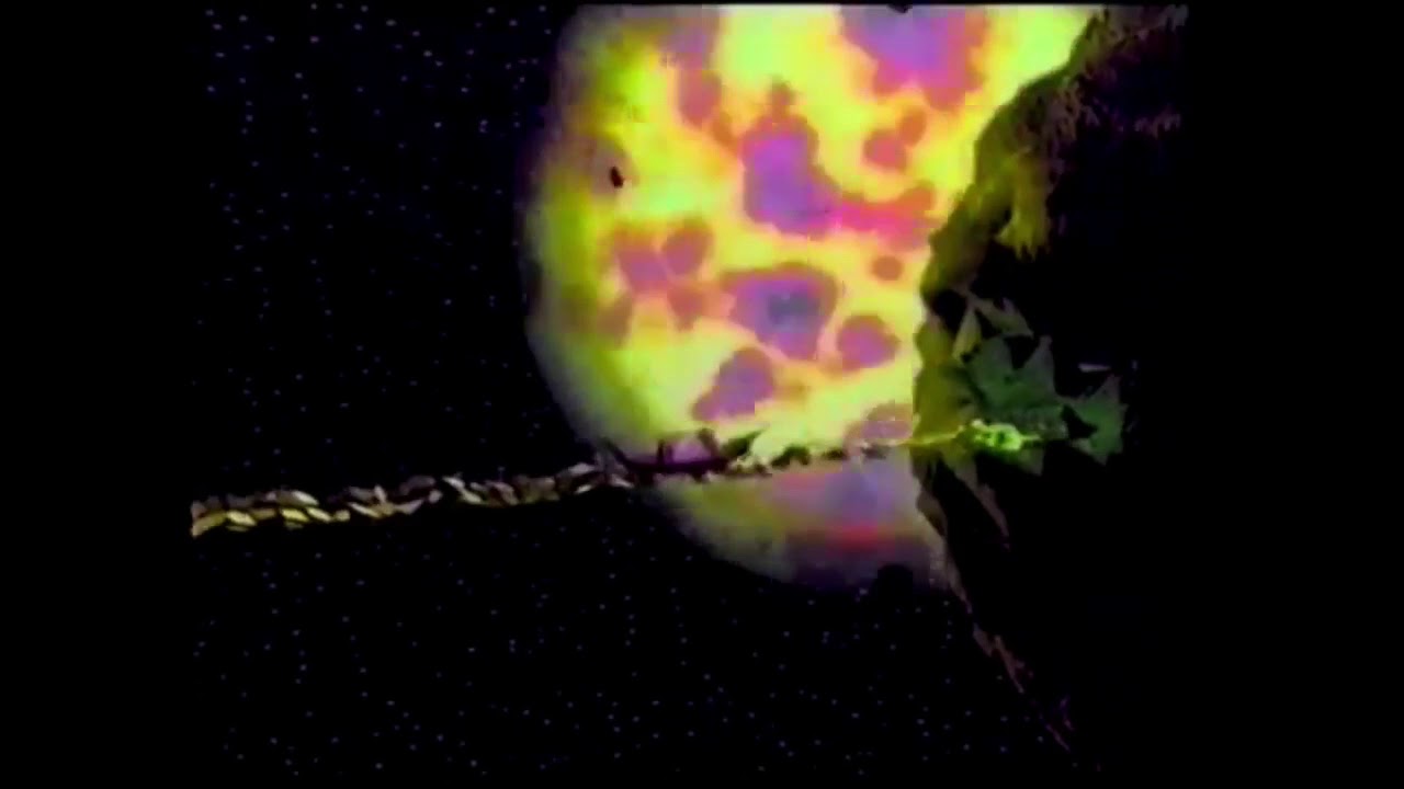 Rich Rave - Everybody’s Free (OFFICIAL VIDEO)