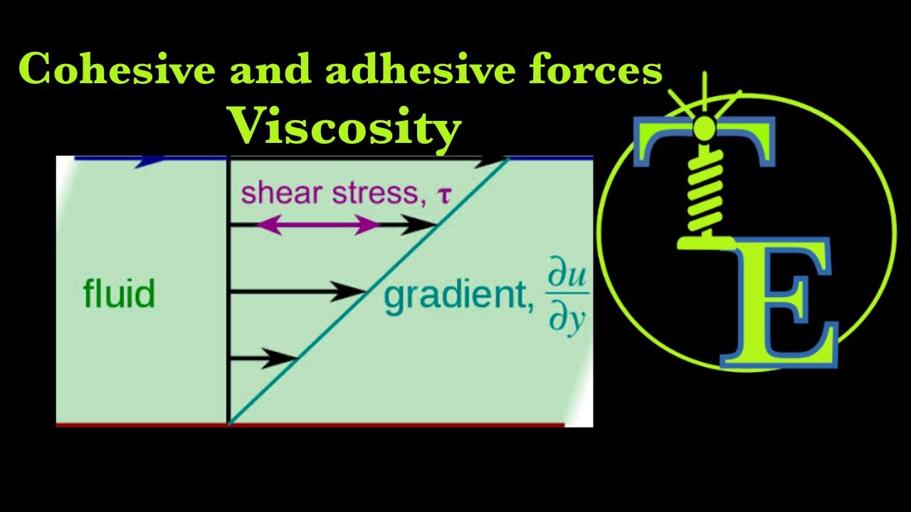 Cohesive and Adhesive forces | Viscosity | Velocity gradient | Lecture 1 | English