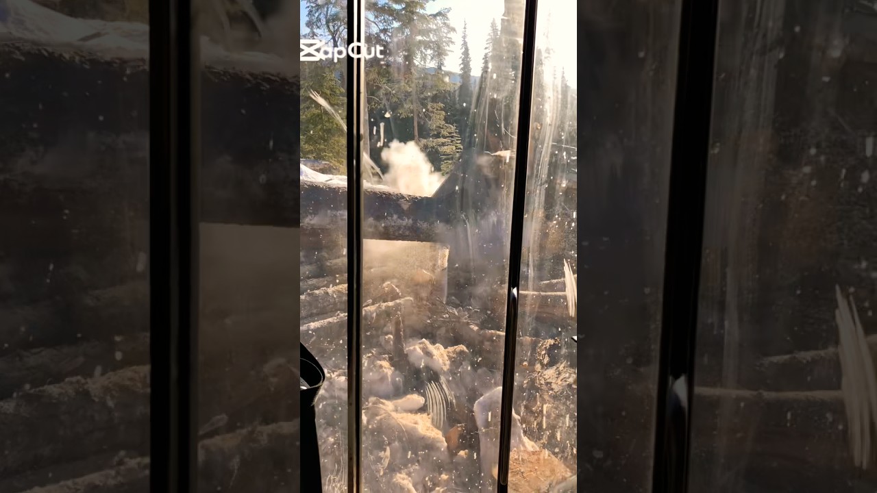 Звучит правдоподобно! 