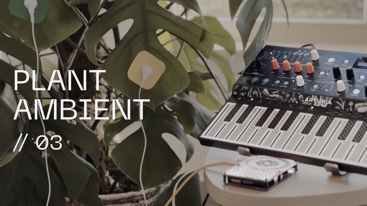 1h Ambient Soundscape Generated by a Monstera | Deep Relaxation (Pocket Scion, Microfreak, Pigments)