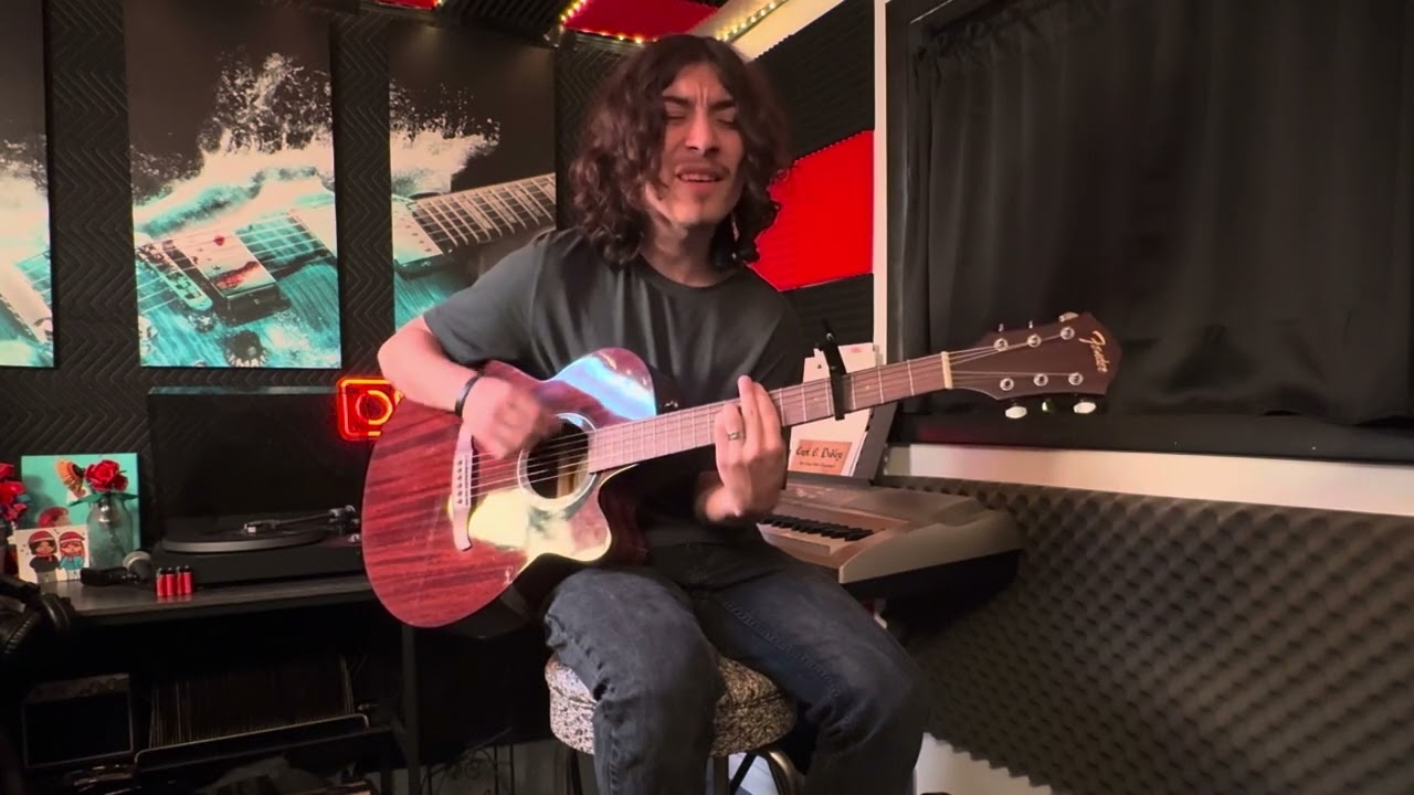 Please Let Me Wonder - The Beach Boys (Cover)