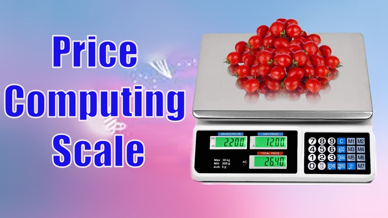 best Price Computing Scale 2021