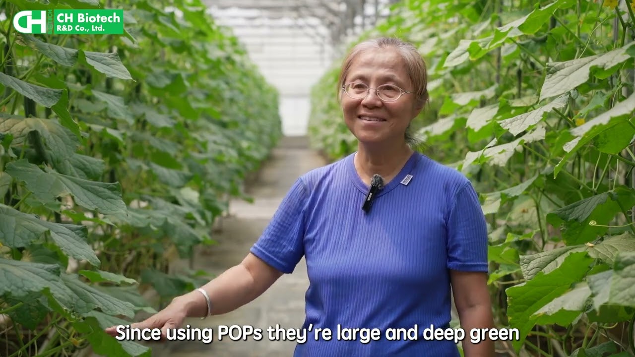 Homeostatic Systemins on Vegetable Crops: Cucumber - Full