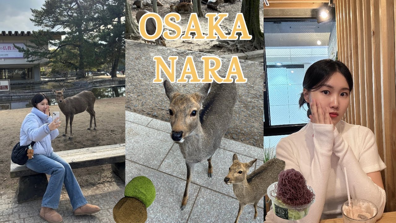 Vlog. 오사카 근교 나라 당일치기✈️ep.2 나라 사슴 공원🦌나라 맛집 I 오사카 온천 I 난바파크스 프랑프랑 하브스