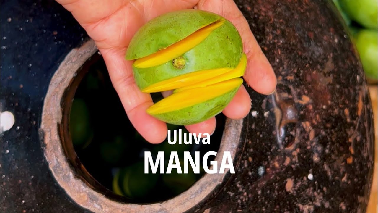 ഉലുവമാങ്ങാ അച്ചാർ | Uluva Manga | Recipes | Mango Pickle | Sarang Family | Dakshina