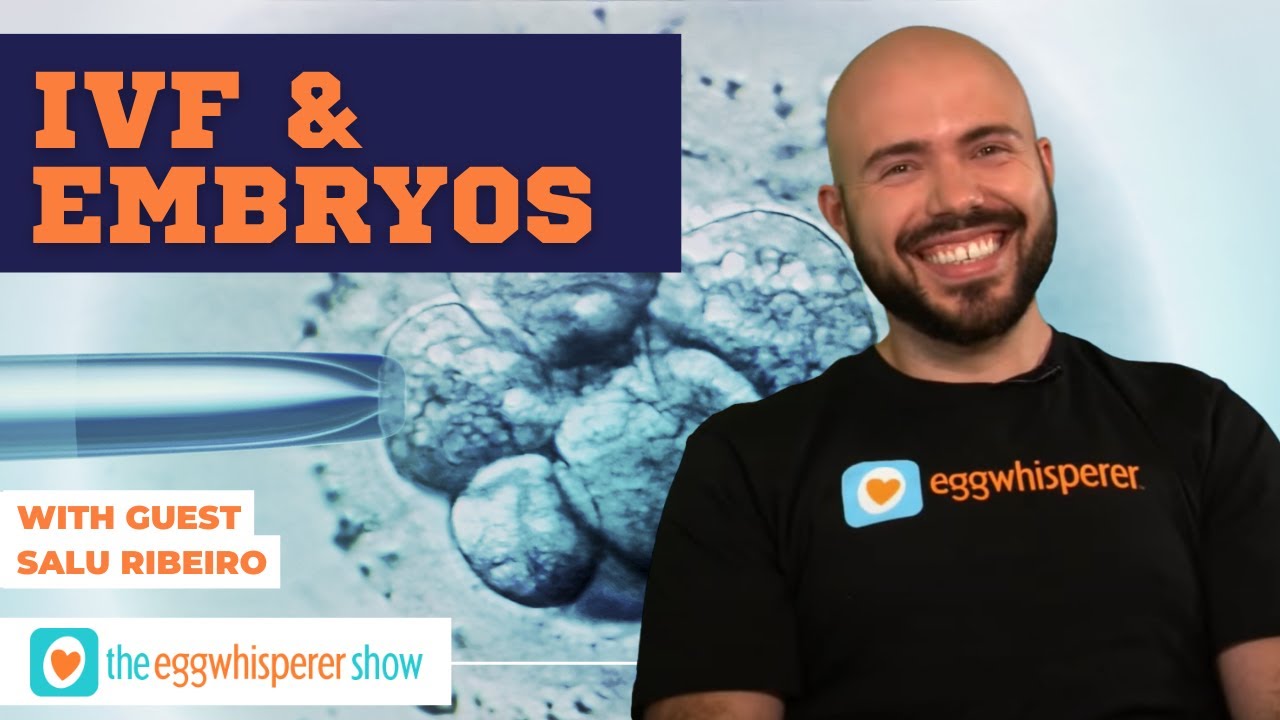 Nuts and Bolts of IVF (Everything You Need to Know about the Basics of How IVF Works)