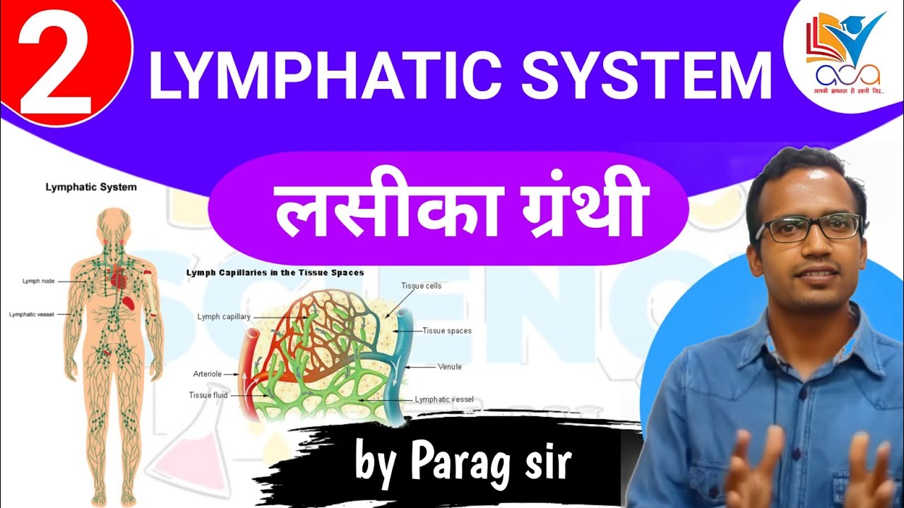 लसीका ग्रंथी | Human Lymphatic System in marathi | Science by Parag sir | MPSC ,Police bharti Etc.