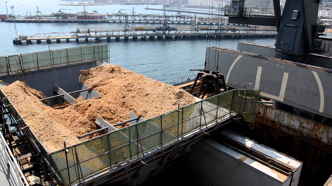 Woodchip Carrier Discharge Operations