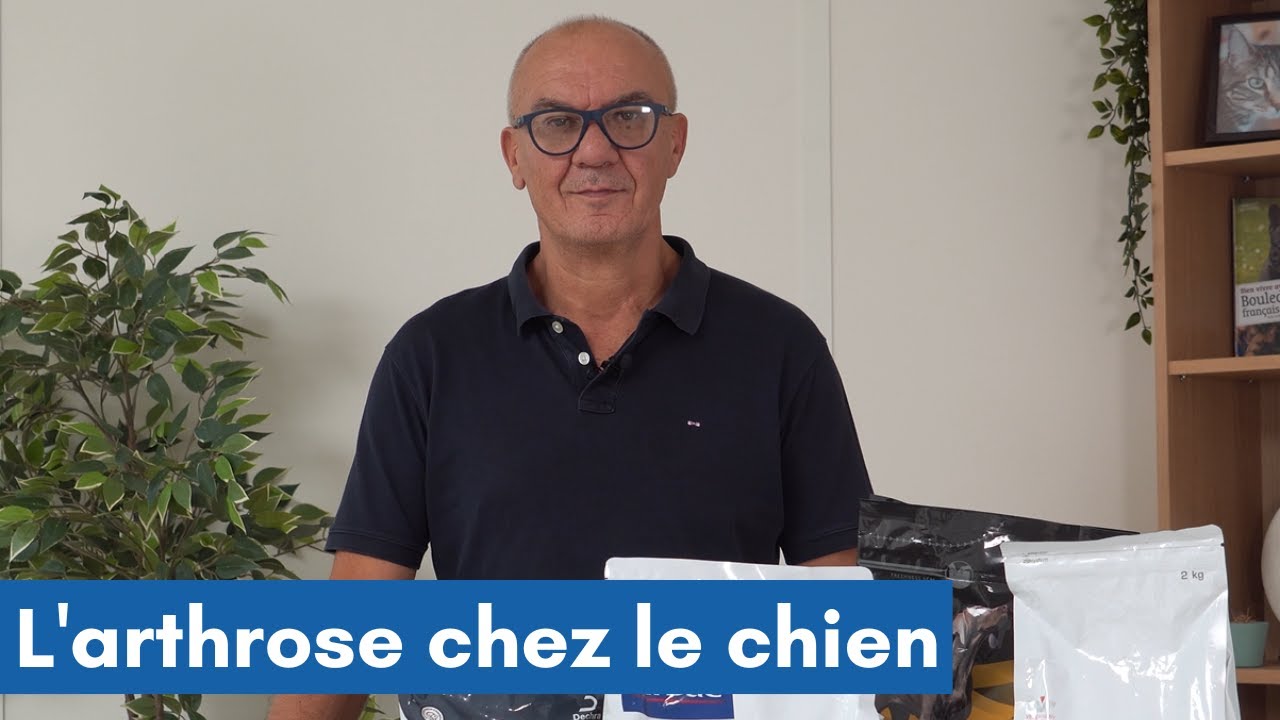 👨‍⚕ VIDÉO VETO : L'arthrose chez le chien