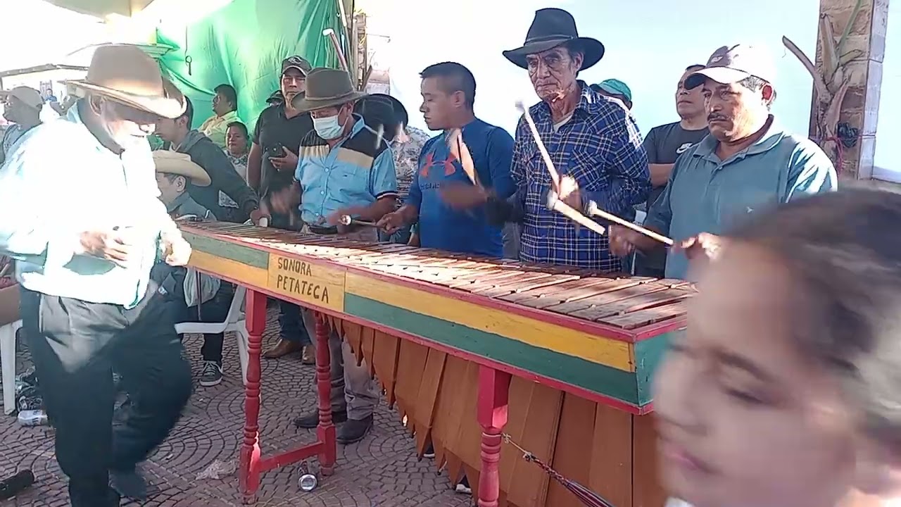 último día de carnaval en petatan 2024