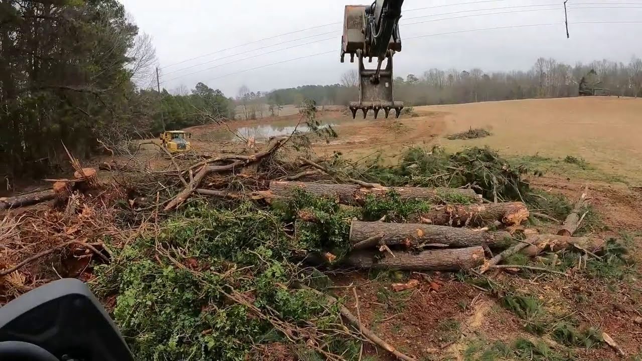 Last Of The Trees And Loading It Out