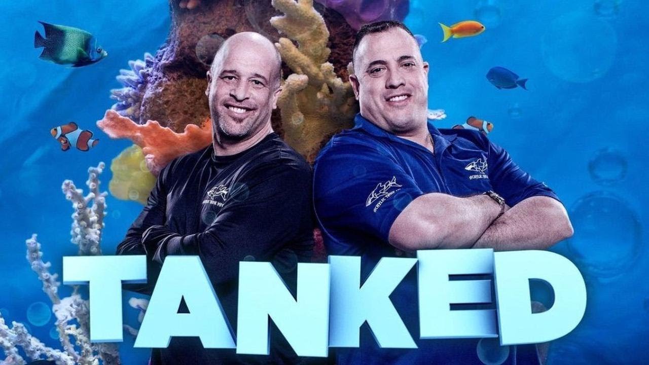 Tanked Stars' Domestic Abuse Charges: The Untold Story Behind Animal Planet's Cancelation