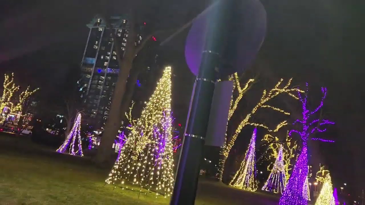 New Year's Eve Spectacular: Lighting Up Niagara Falls