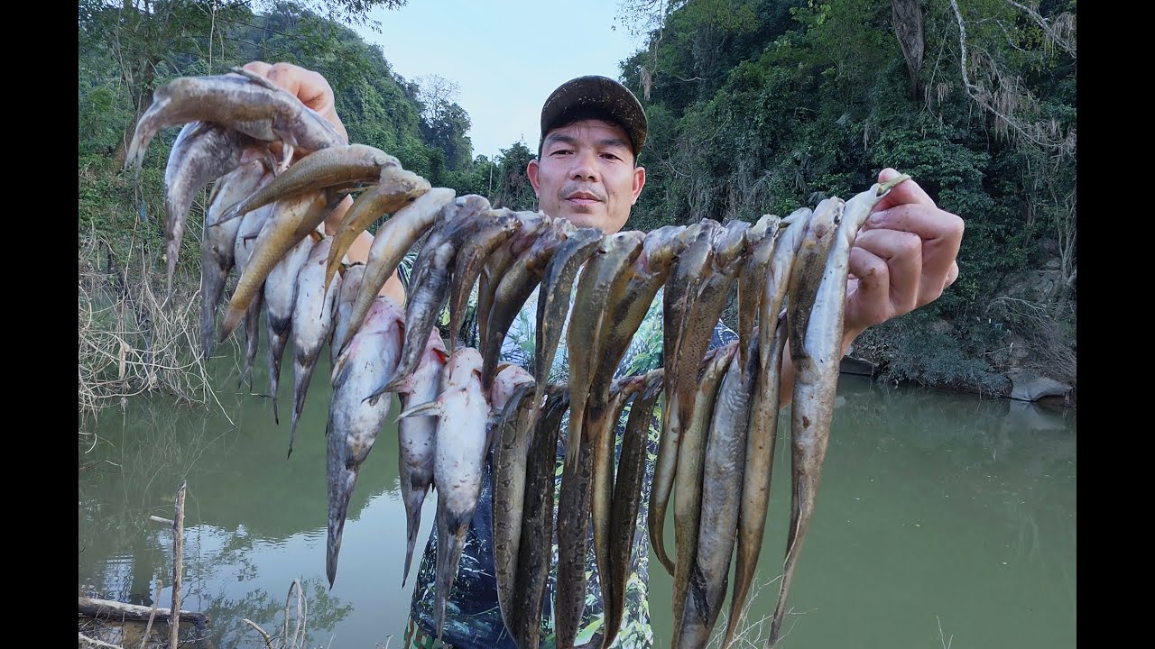 CÂU CÁ SÔNG MÙA CHỚM LẠNH - Camera Thợ Thợ rừng