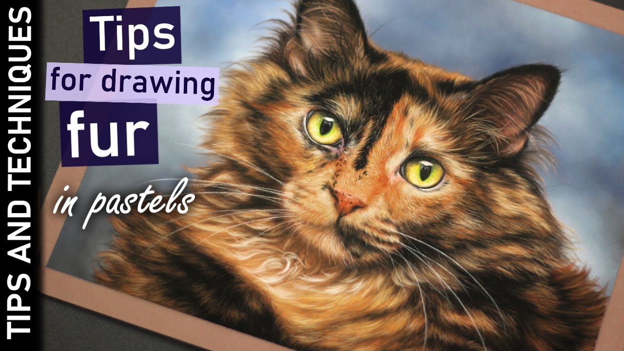 How to draw a tortoiseshell cat in pastels | Drawing realistic fur