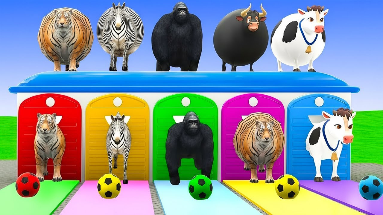 Long Slide Game With Cow Elephant Gorilla Hippopotamus Tiger 3d Animaal Game Funny 3d Animals