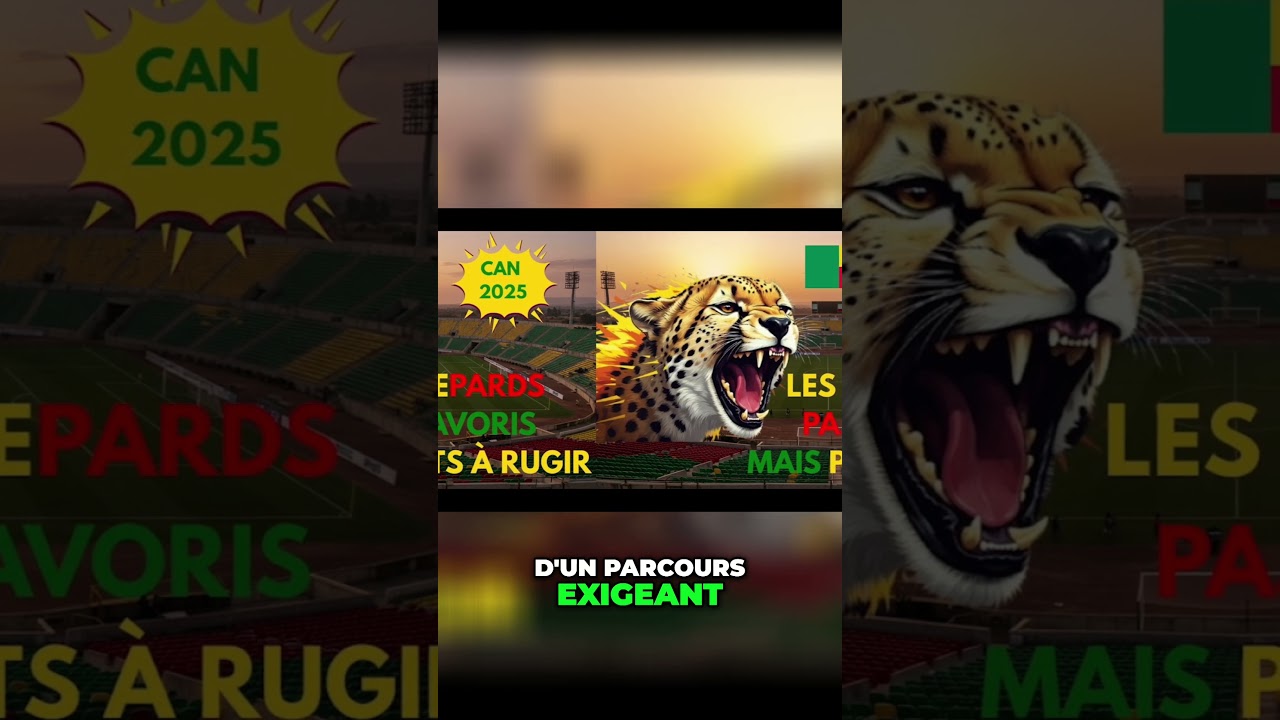 Gu&eacute;pards du B&eacute;nin  Surprise &agrave; Cannes en Maroc