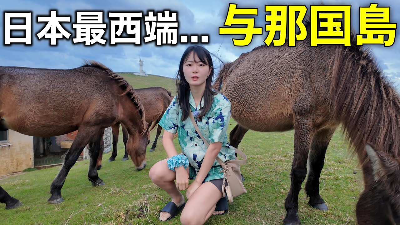 日本の1番西には何がある？1泊2日で与那国島を調査してきました！！！