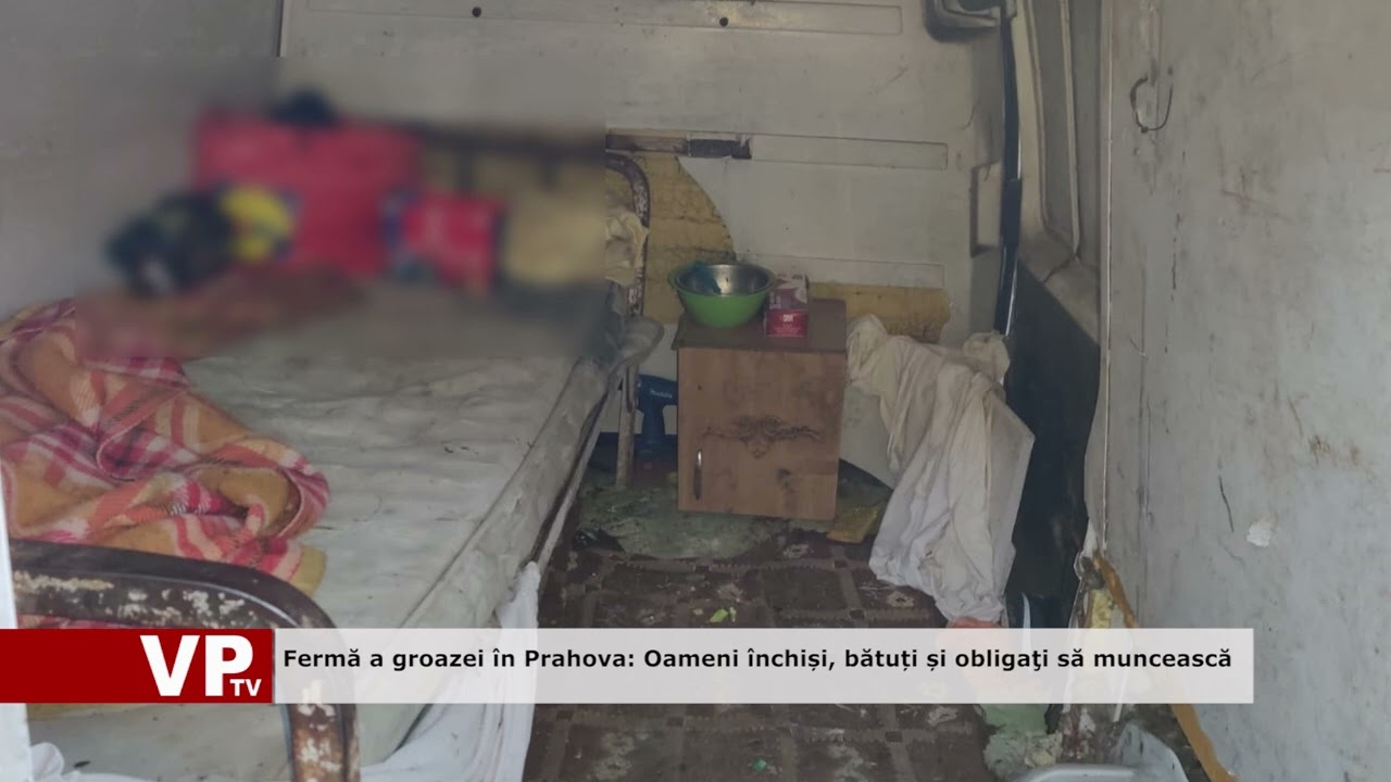 Fermă a groazei &icirc;n Prahova: Oameni &icirc;nchiși, bătuți și obligaţi să muncească