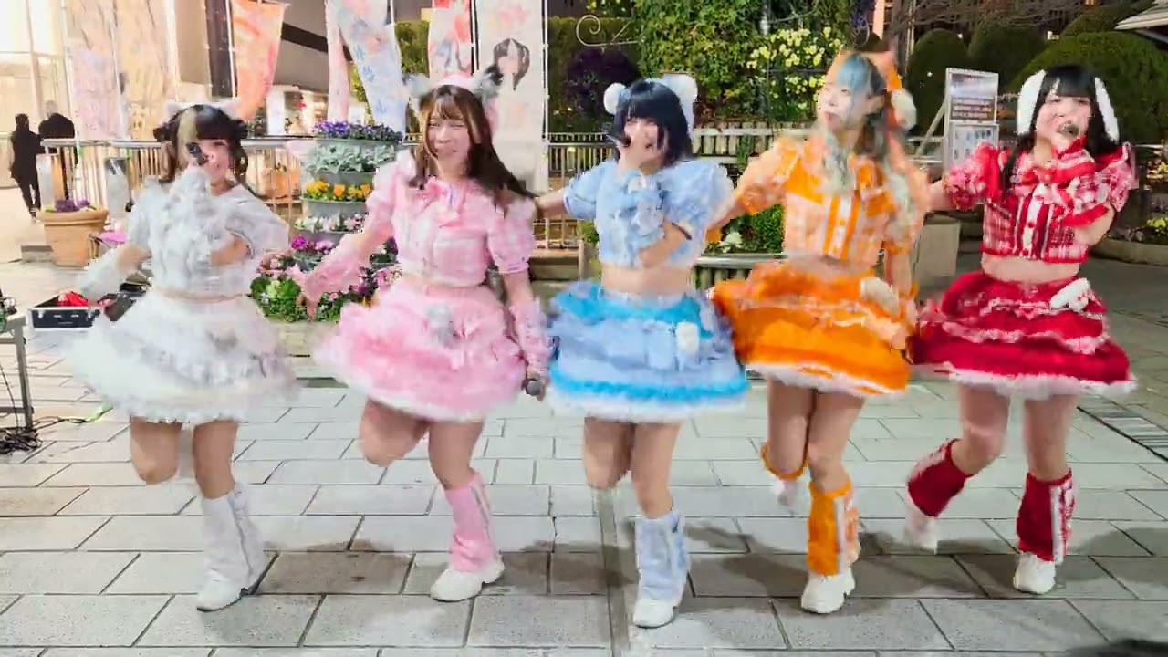 2026/3/4 水曜夜の魔法ライブ②　エブリデイハピネス（しゃるぷり）