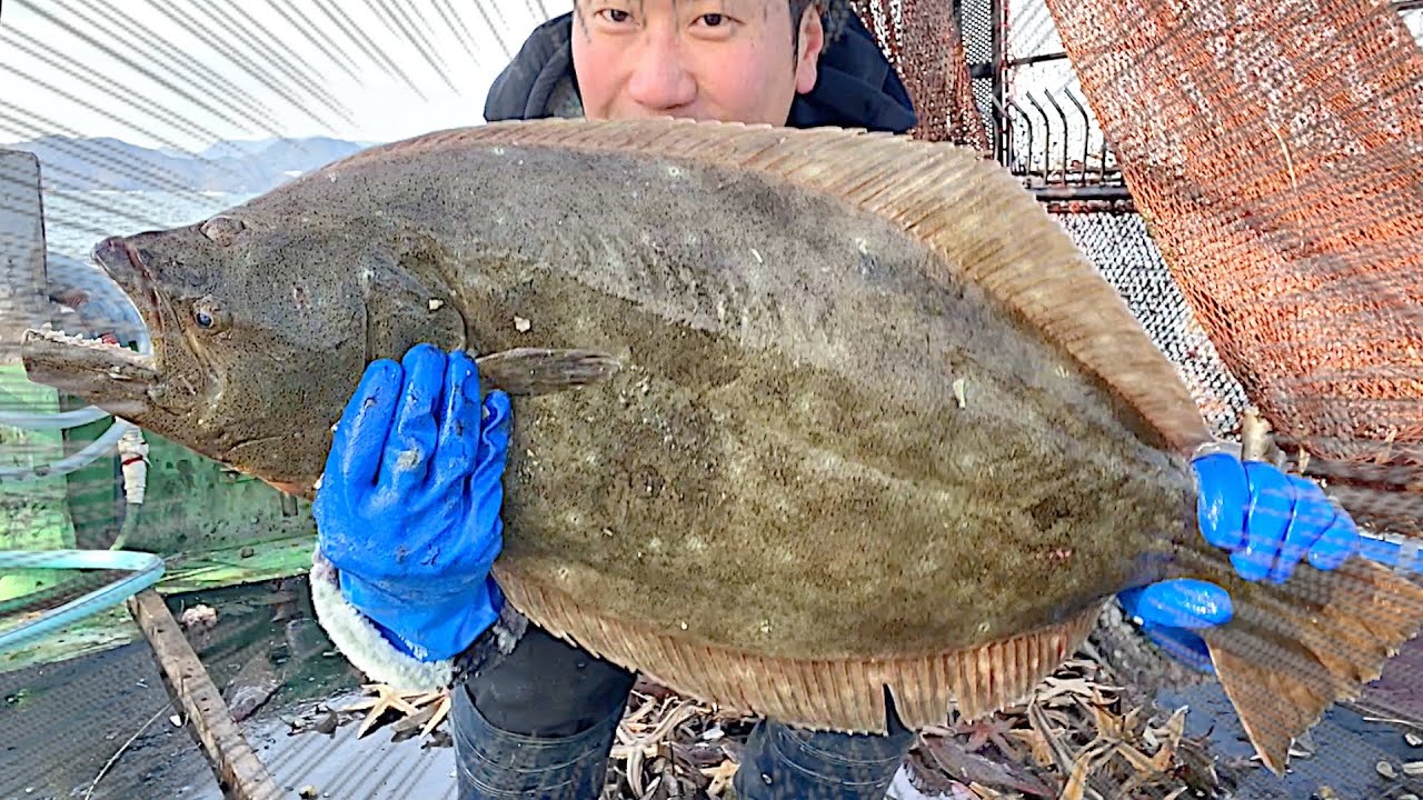 １匹１万円の化け物が獲れました・・・