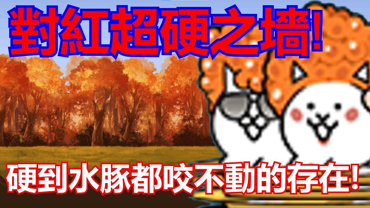 《貓咪大戰爭》對紅超硬之盾！極品但超硬的鮭魚卵壽司！| 星帆貓咪介紹#73