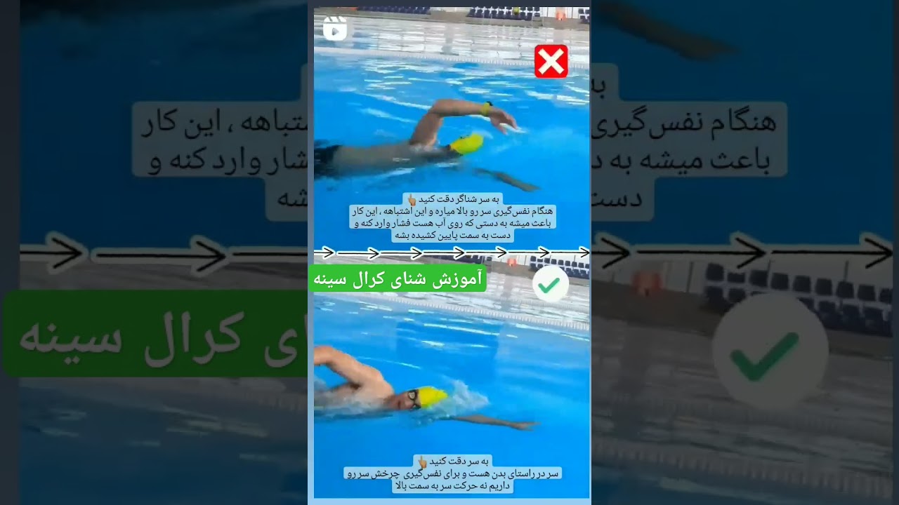 آموزش کرال سینه