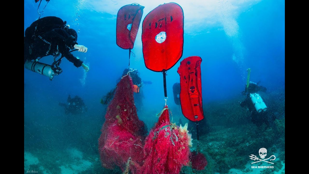 Ghostnet 2024 - Anche quest’anno la campagna che ripulisce i fondali si è presa cura del mare