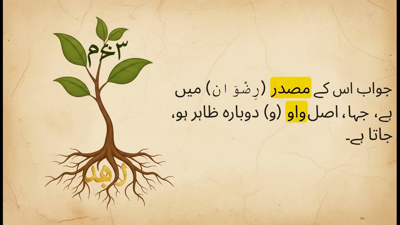 Huroof-e-Illat Ke 3 Aham Usool: Qalb, Naql aur Hazf Samjhein