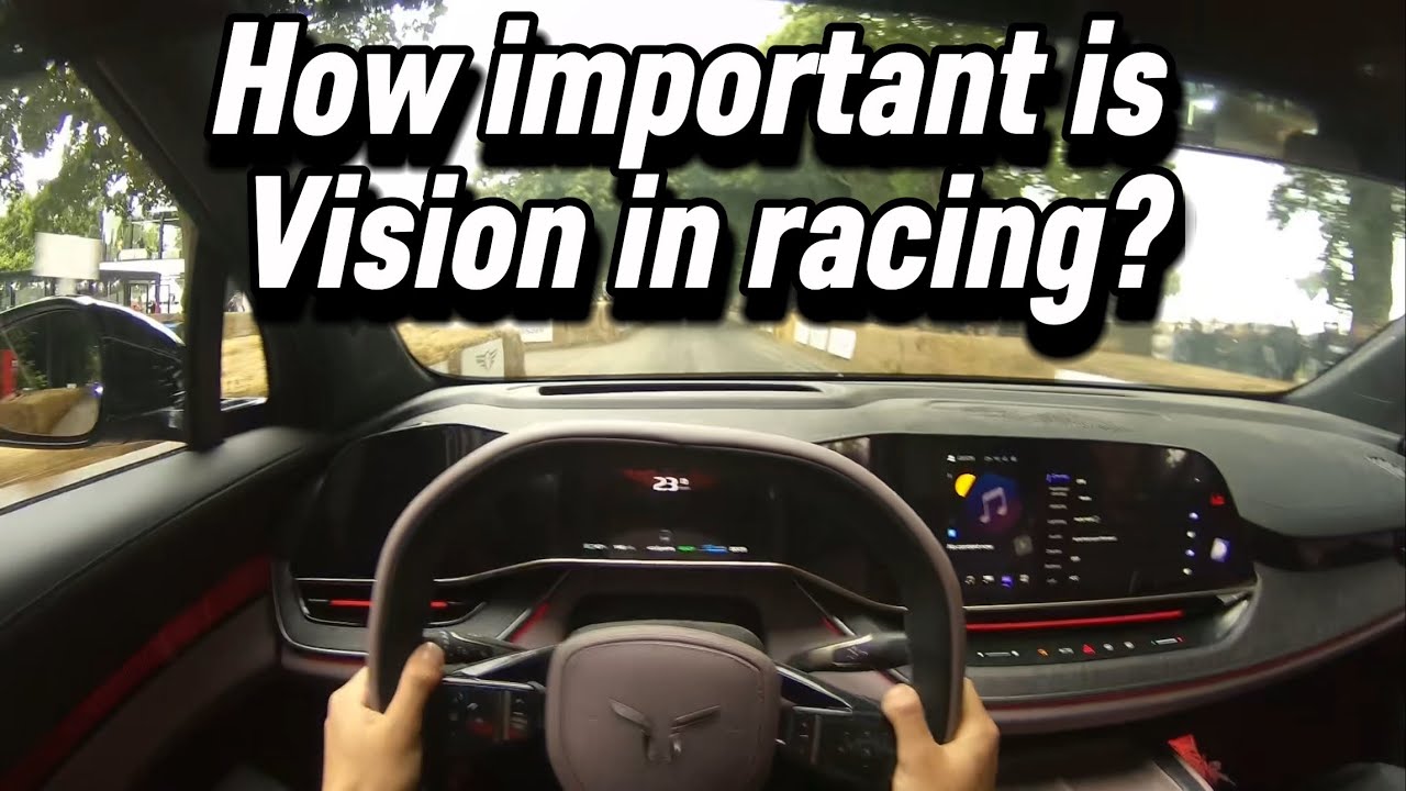 Can vision make you a better driver?