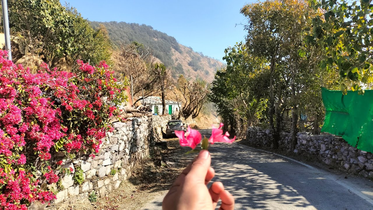 Day 2 || jim corbett national park 🏞️ trip (girija Devi temple or himalaya mountain 🏔️ view 