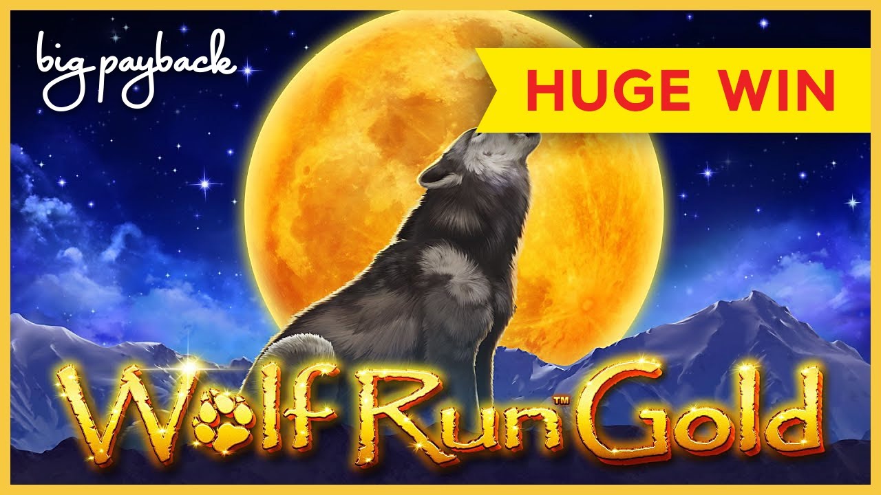 HUGE WIN, QUITE UNEXPECTED! Wolf Run Gold Slot - LOVED IT!
