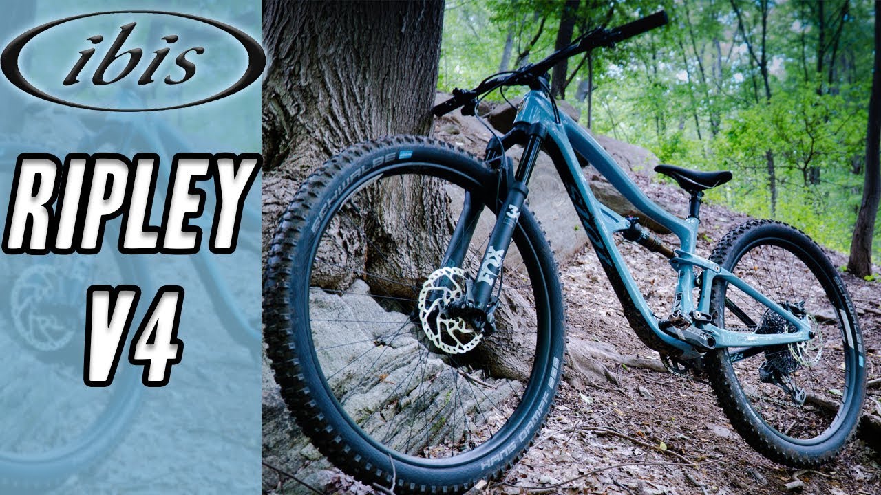The IBIS Ripley V4 Review