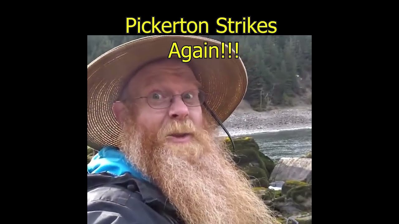 Another Gold Picker!