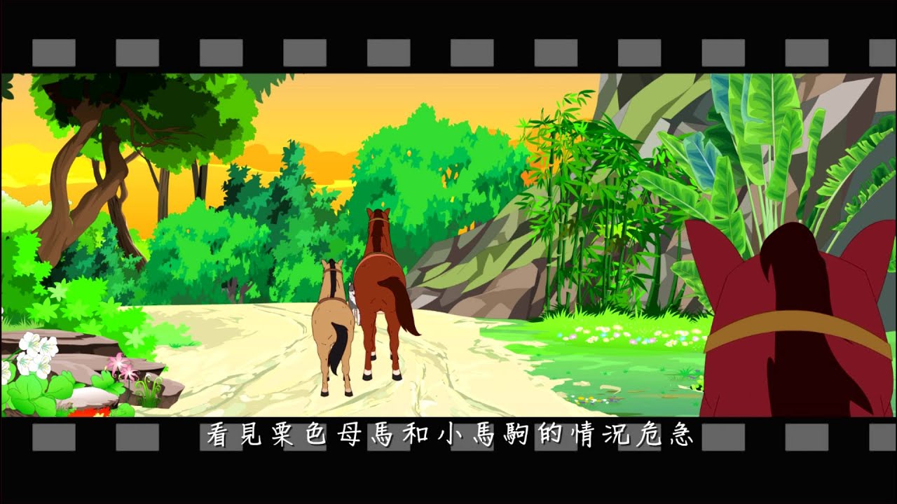 【愛護生命的故事】賽馬流星【398】
