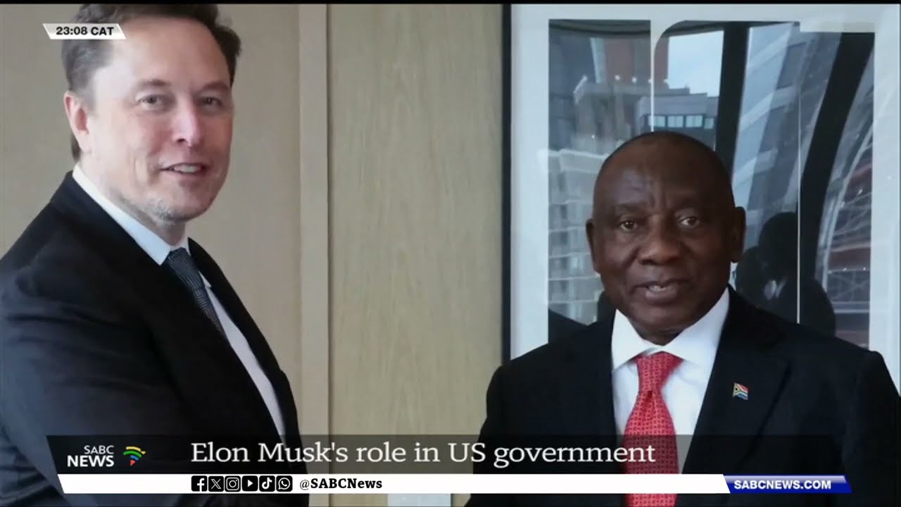 Elon Musk's role in US government