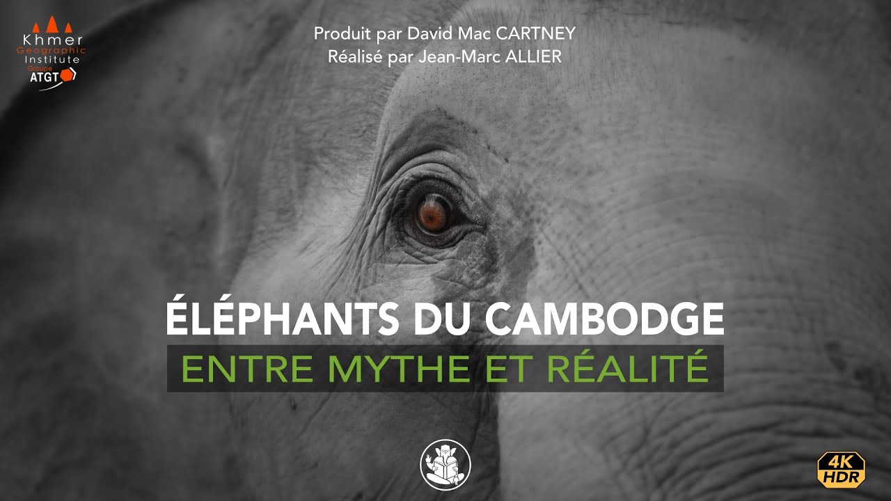 Éléphants du Cambodge, entre mythe et réalité