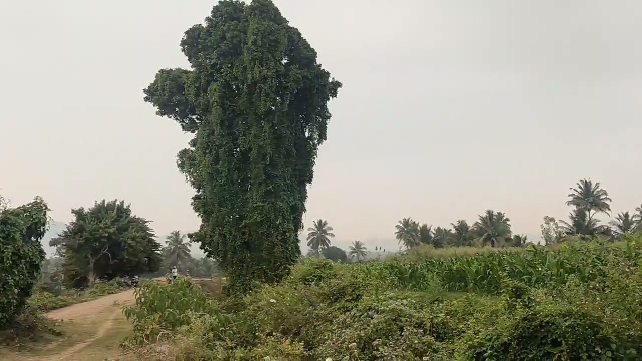 3.50ACRES LAND SLAE HANUR NEAR 10KM BANGLOR 155KM MYSORE 90KM PRICE PER ACRE 26LACK 9902421145