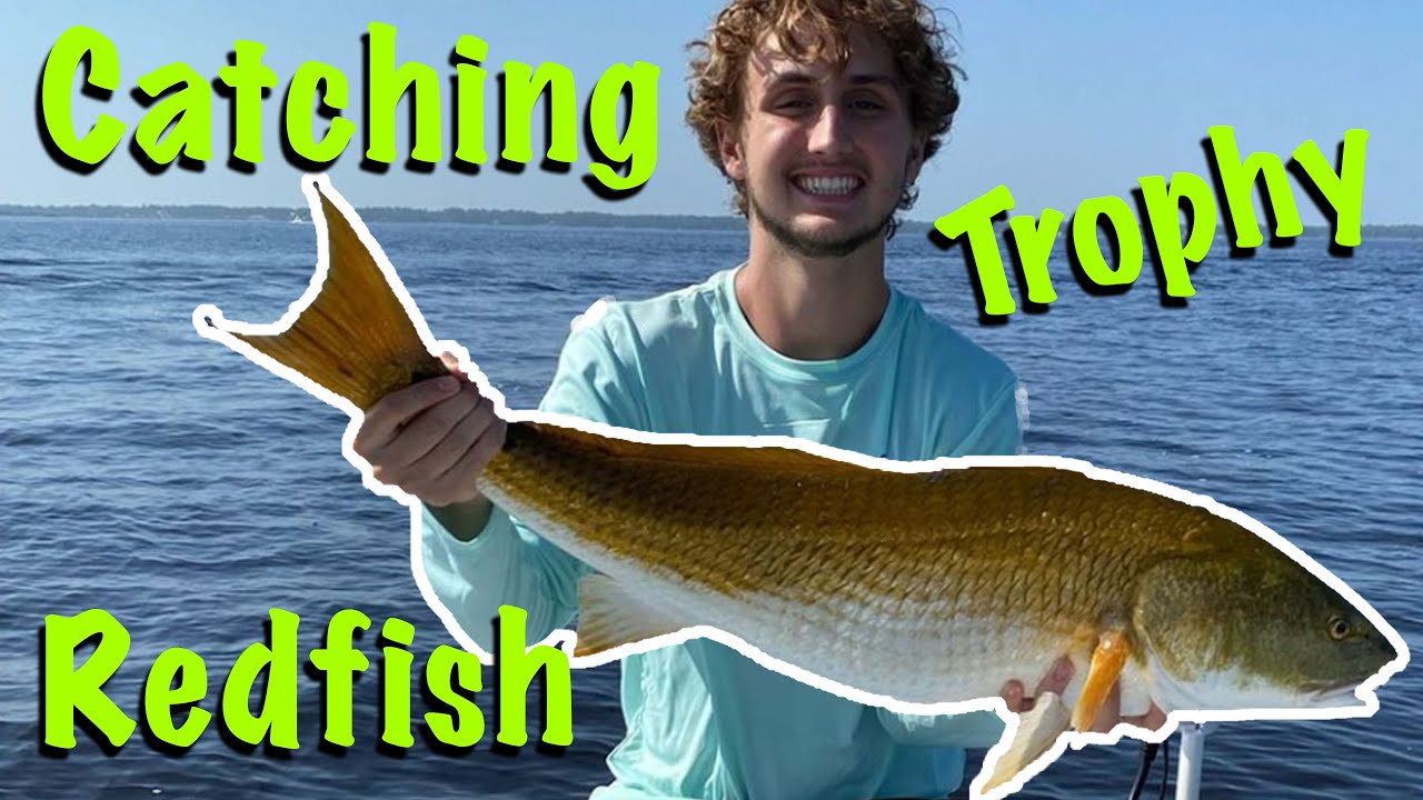 Catching trophy Redfish