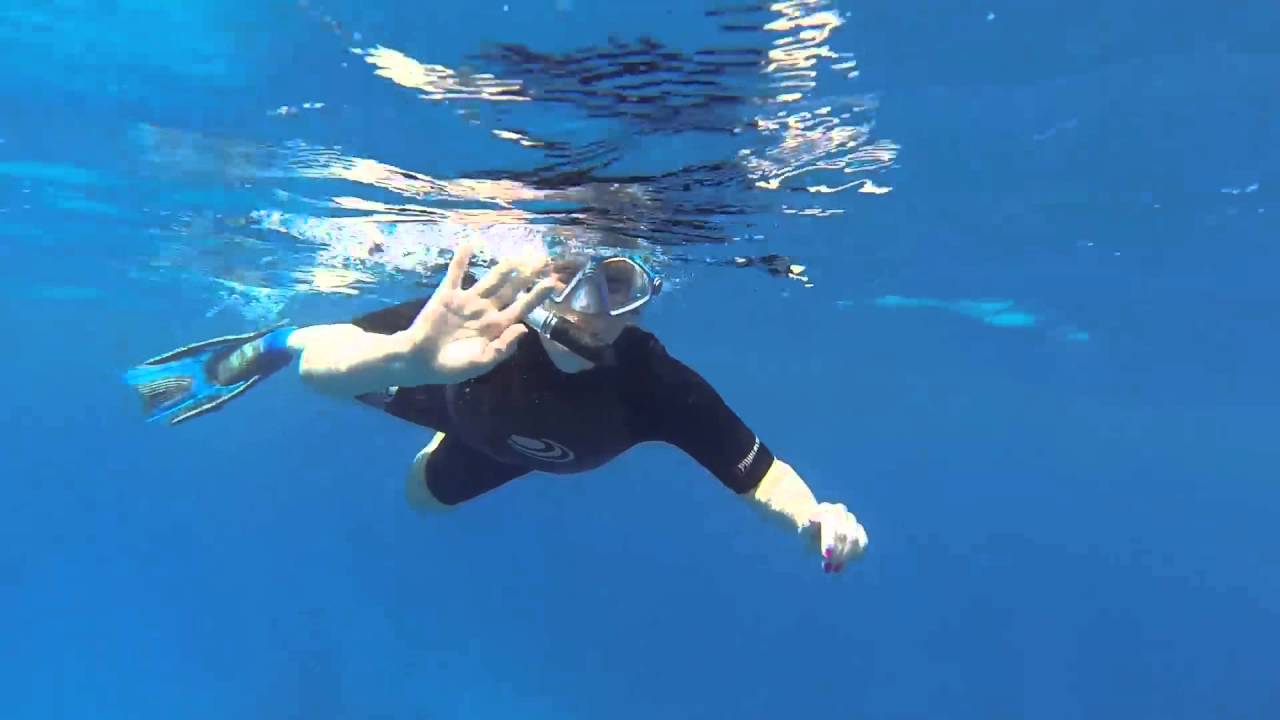 Torpedo Tours Dive and Snorkel Kona Hawaii Day 1