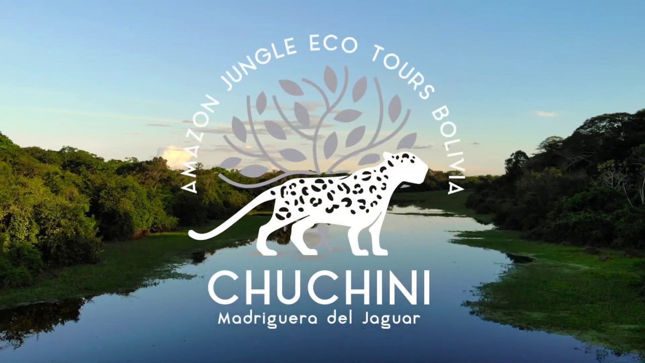 CHUCHINI Eco Lodge: Amazon Rainforest Jungle & Wildlife Eco Tours, Bolivia