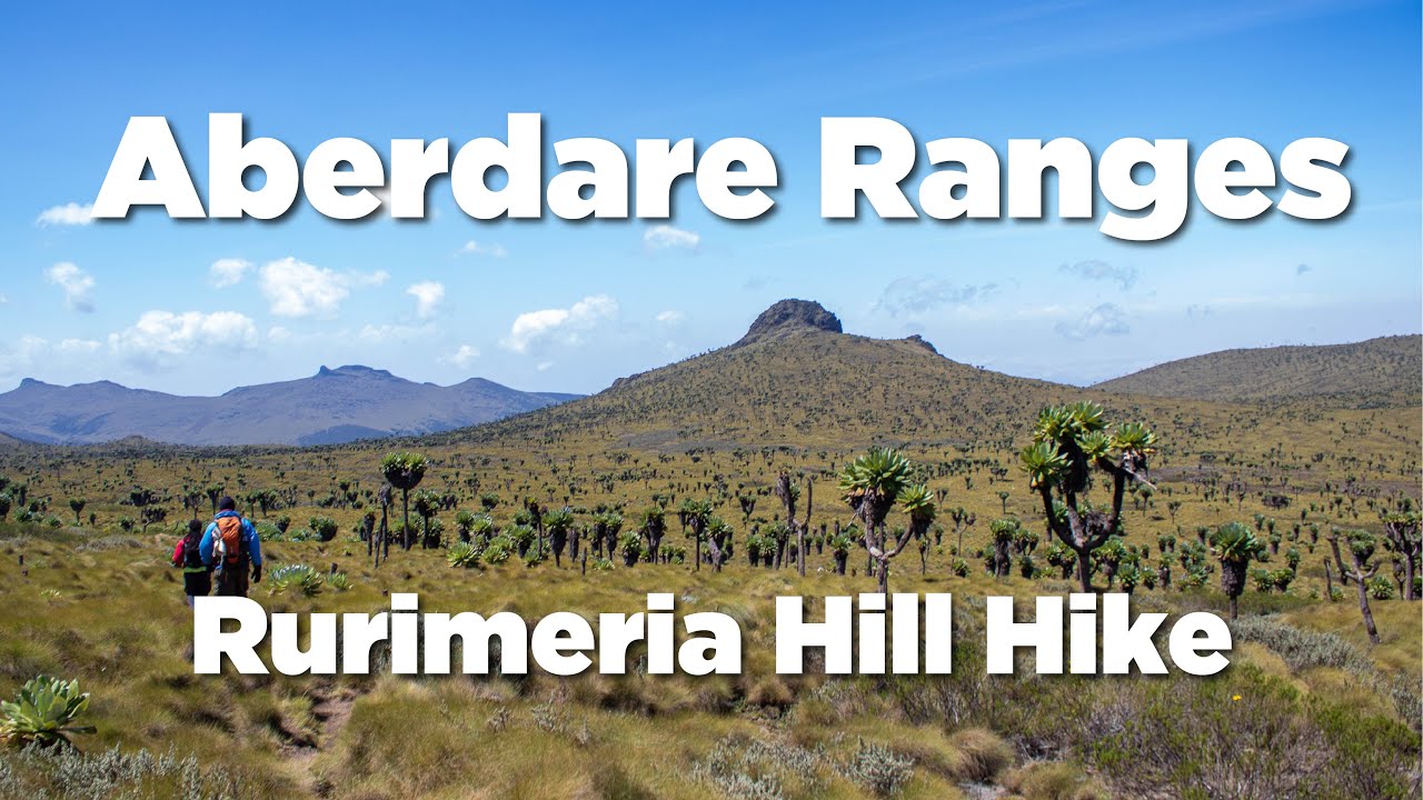 Rurimeria hill - Aberdare range hike on a budget in Kenya