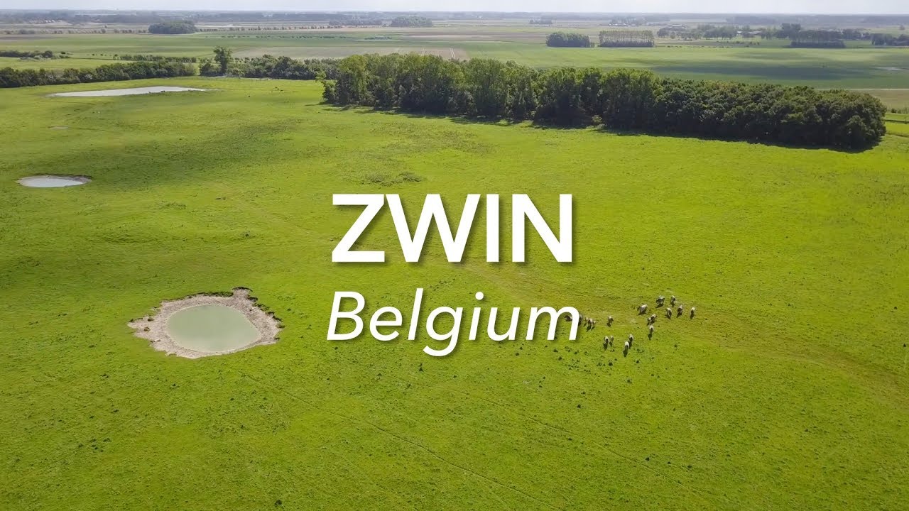 ZWIN Belgium