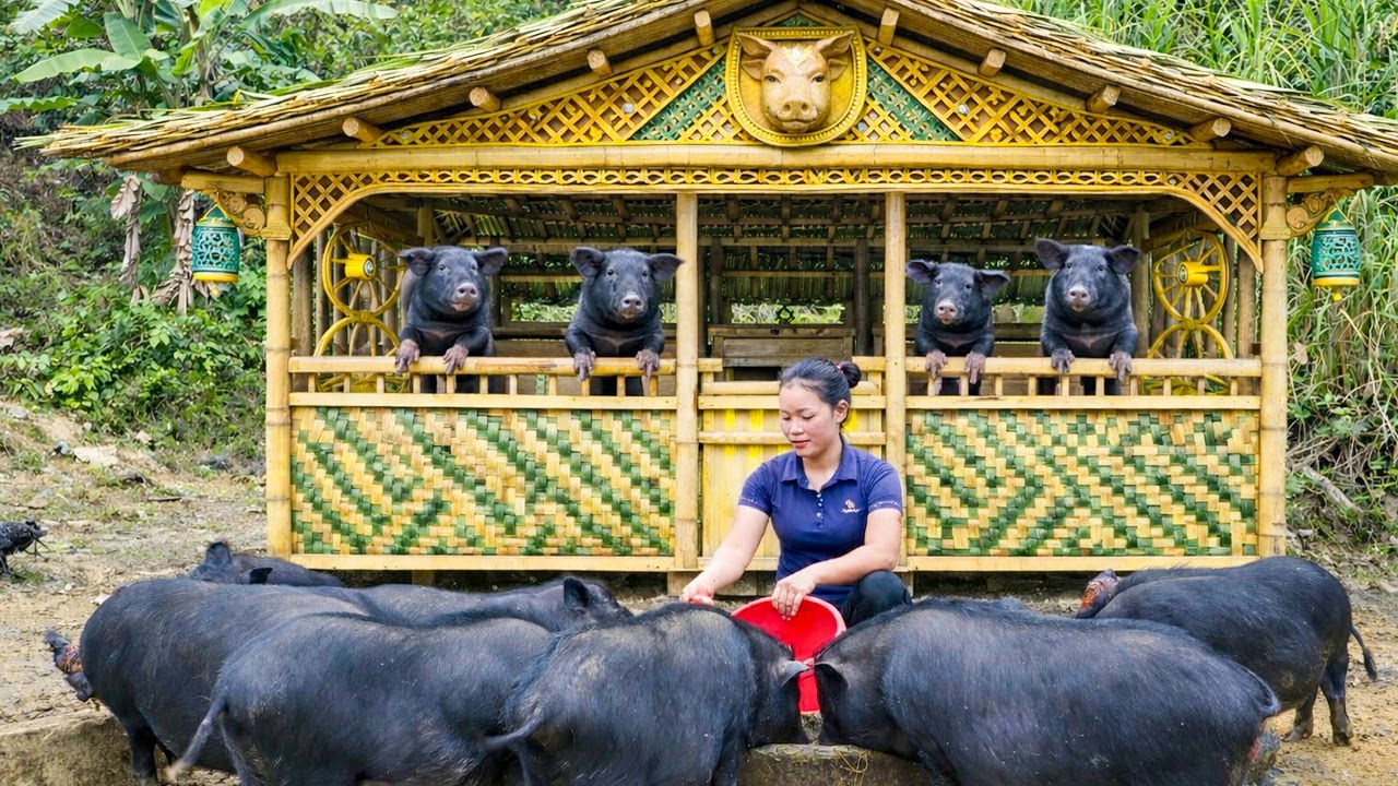 How to Build a Wooden House for Pigs 2026 - Complete Pig House Roof & Animal Care | Trieu Mai Huong