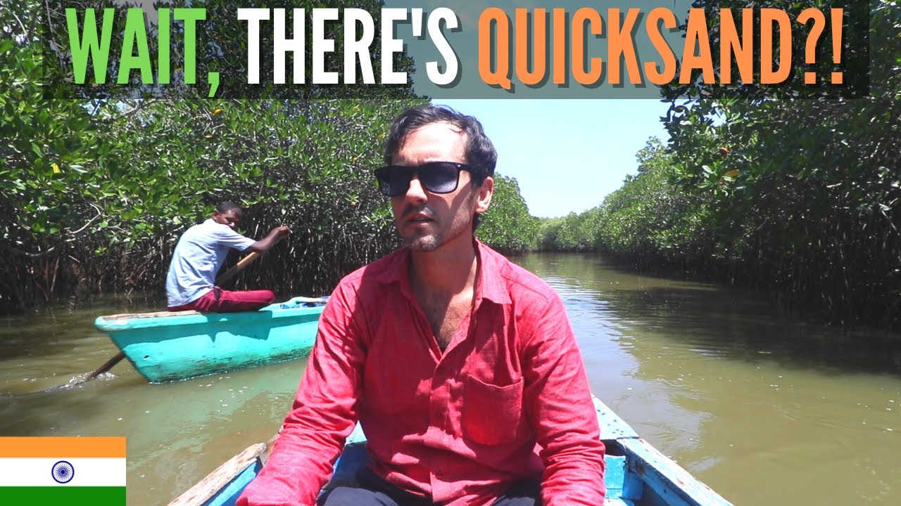 World's 2ND LARGEST Mangrove Forest: Pichavaram | Day Trip From Chennai | Foreigner in India