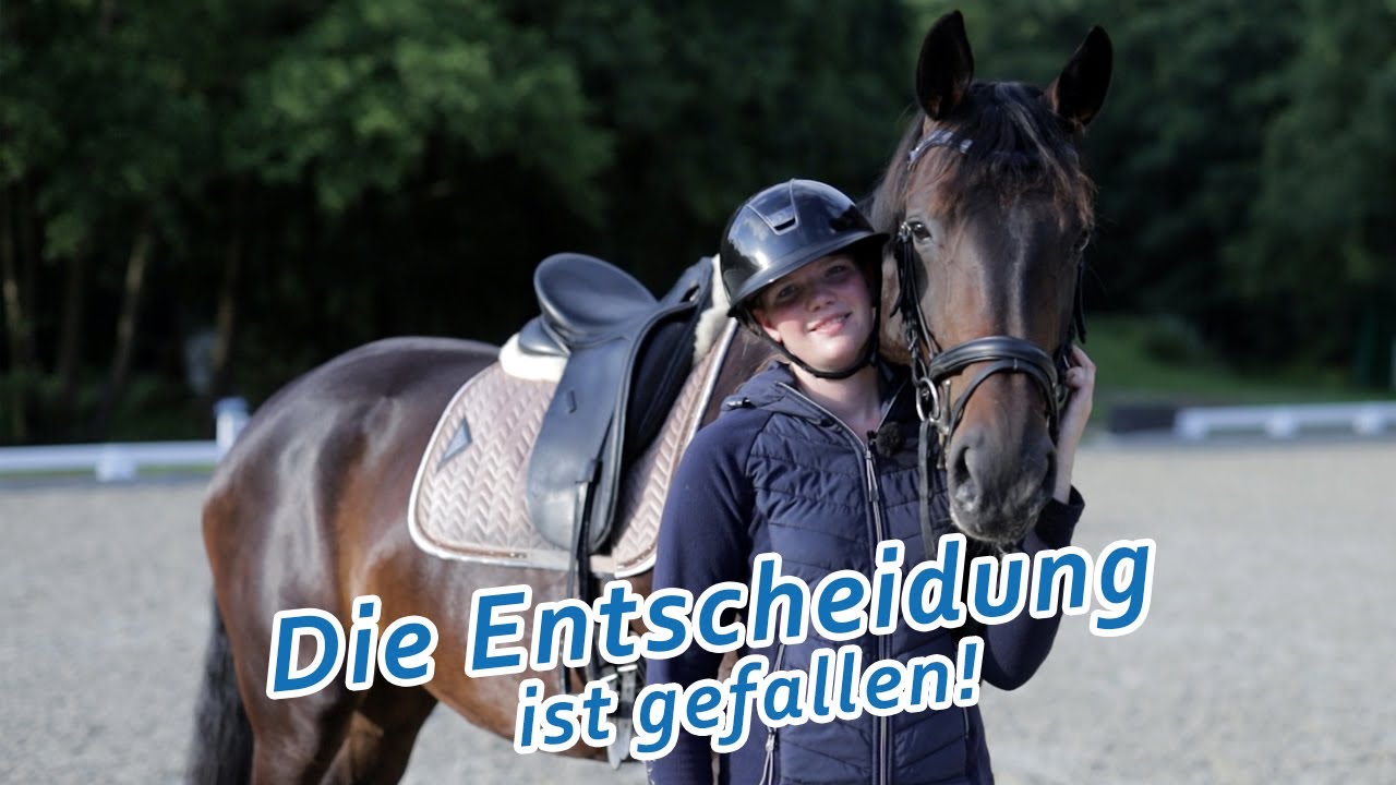 Züchter versucht alles damit seine Stute eine pferdefreundliche Ausbildung erhält