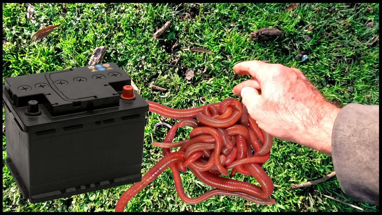 COMO SACAR LOMBRICES CON ELECTRICIDAD DE UNA BATERIA #tutorial #lombrices #pesca