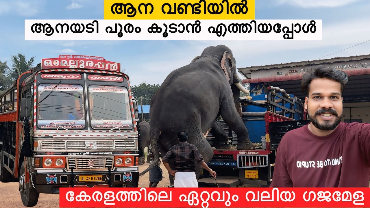 ആന വണ്ടിയിൽ ആനയടി പൂരത്തിന് എത്തിയപ്പോൾ | 70 കൊമ്പൻ ആനകളുടെ പൂരം | Aneesh ibuddy | elephant Truck
