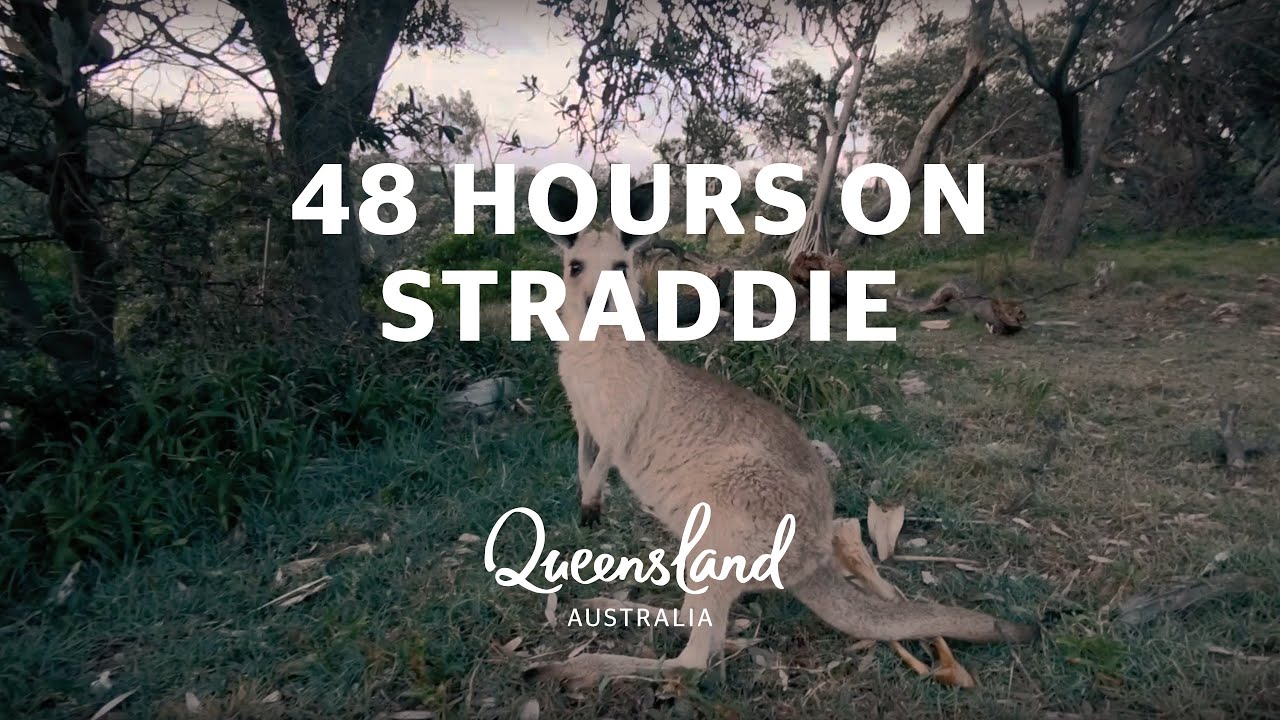 48 hours on Minjerribah (North Stradbroke Island)